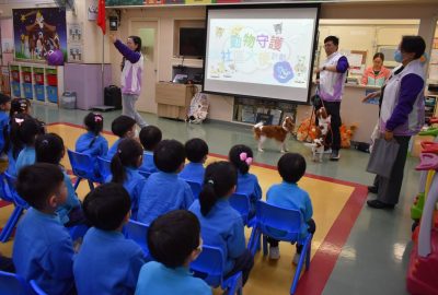 imgi_15_DSC_0761-scaled