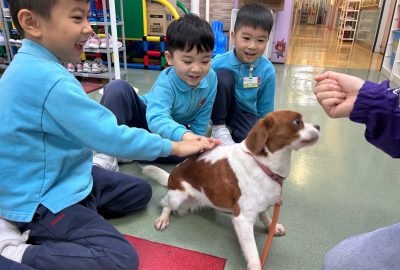 imgi_4_IMG_1735-scaled