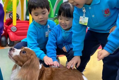 imgi_5_IMG_9972-scaled