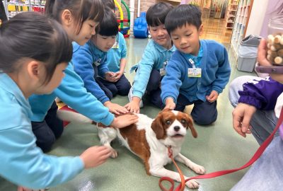 imgi_8_IMG_6106-scaled